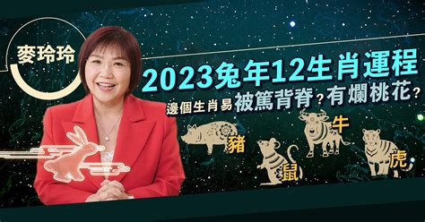 2023兔年地毯顏色|麥玲玲2023兔年運程｜看清兔年財位病位 桃花運原來 